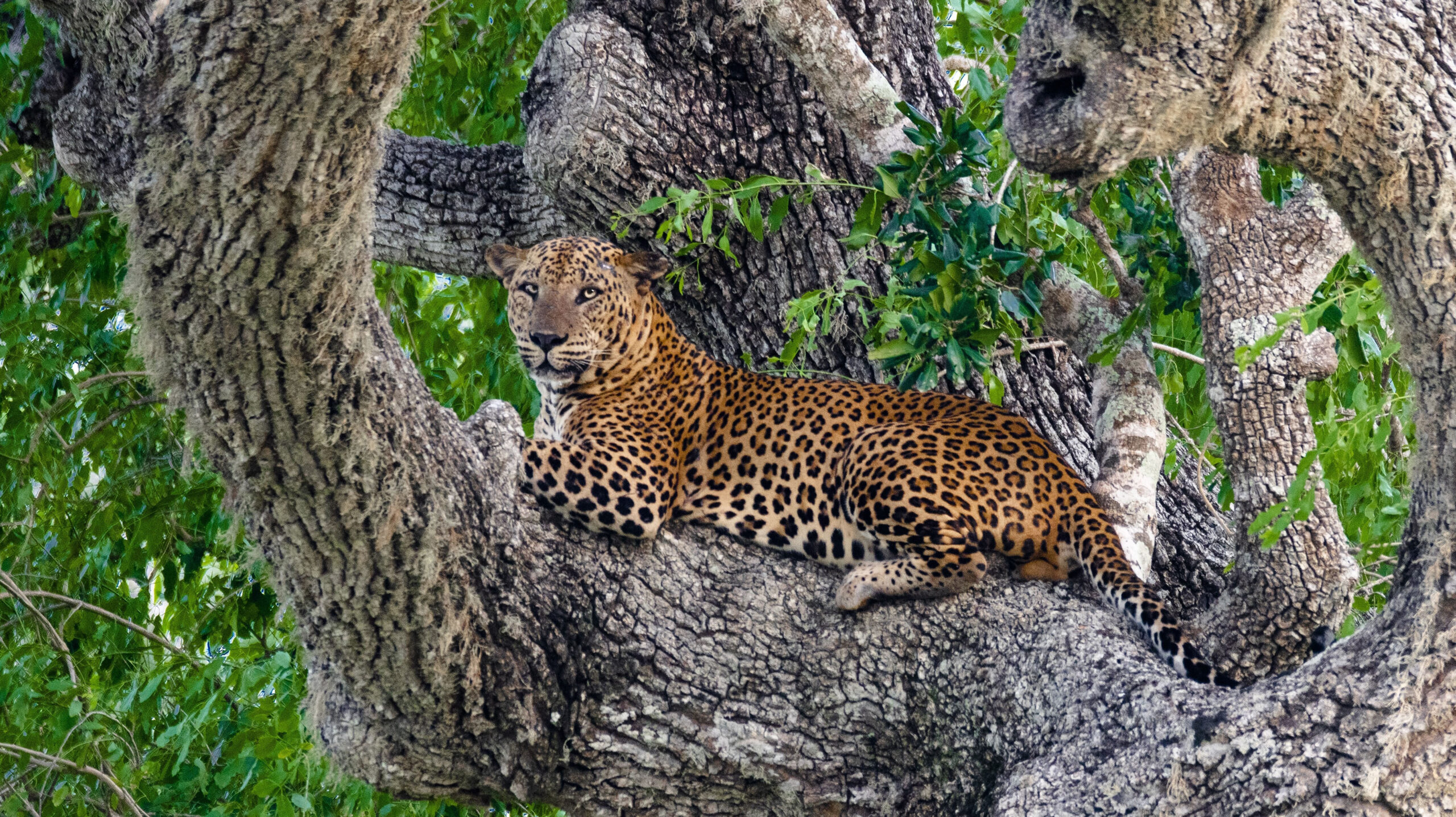 Island Adventure Quest (14Days 13Nights)